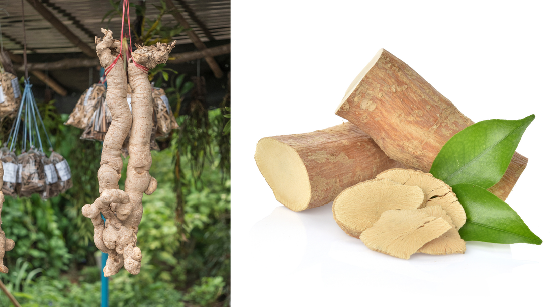 Tongkat Ali Benefits for Men Over 40: Natural Energy, Testosterone & Vitality