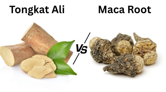 Tongkat Ali vs Maca Root for Testosterone: Which Works Better for Men?