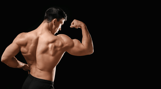 Best Testosterone Supplement: Boost Energy, Muscle & Performance