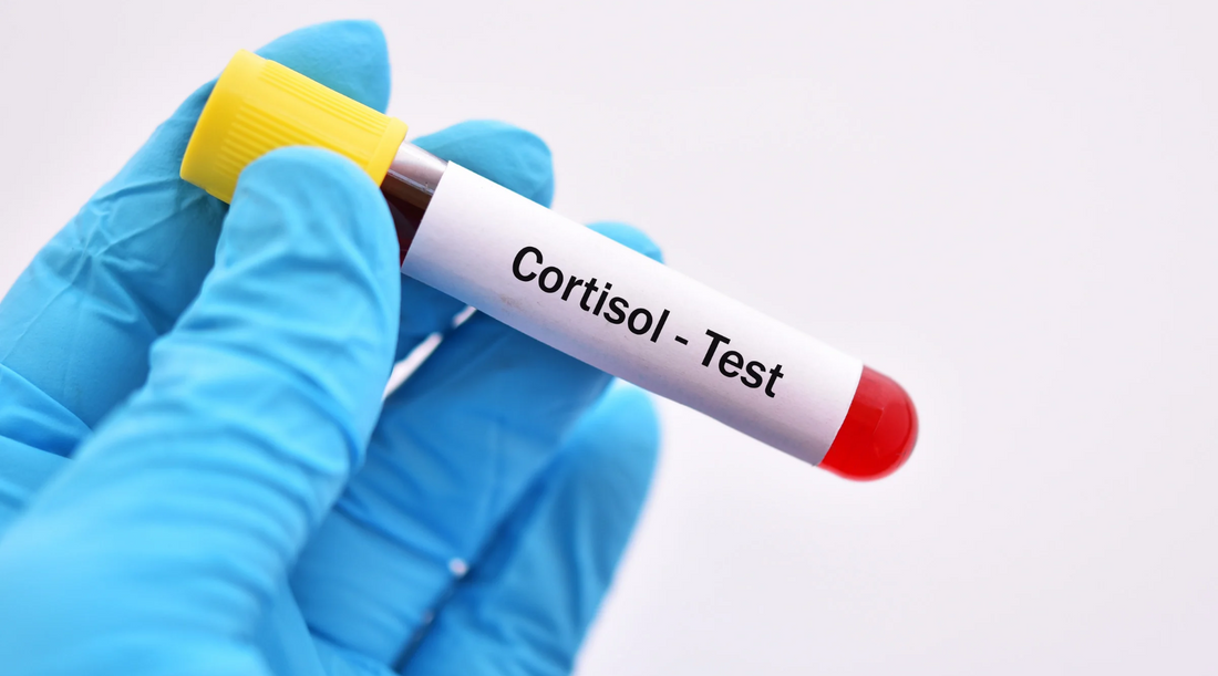 How to Balance Cortisol Naturally