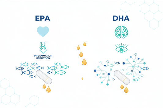 EPA vs DHA: What's the Difference and Which Is Better?