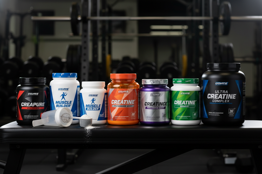 Best Creatine Supplements: Top Picks for Strength and Performance